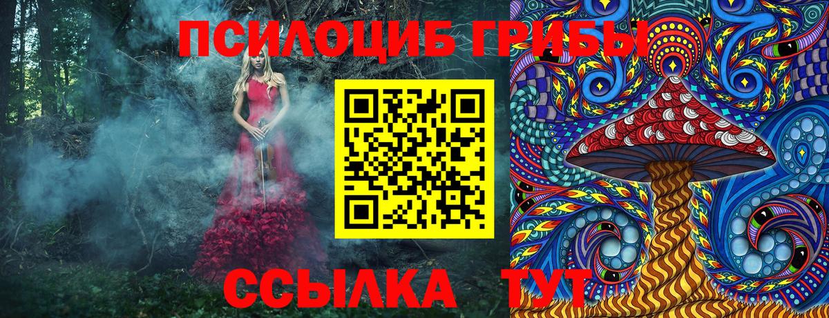 Галлюциногенные грибы мицелий Йошкар-Ола
